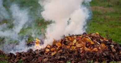 Villena expone al público y abre el proceso de participación ciudadana el nuevo Plan Local de Quemas Agrícolas