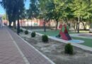 Medio Ambiente repone 50 árboles en las áreas verdes de la ciudad