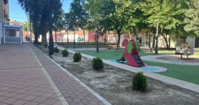 Medio Ambiente repone 50 árboles en las áreas verdes de la ciudad