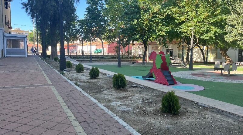 Medio Ambiente repone 50 árboles en las áreas verdes de la ciudad