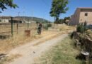 El grupo del Proyecto Acción Inserta de Agricultura Ecológica y Jardinería limpia y mejora varias zonas verdes de la ciudad