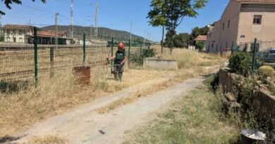 El grupo del Proyecto Acción Inserta de Agricultura Ecológica y Jardinería limpia y mejora varias zonas verdes de la ciudad