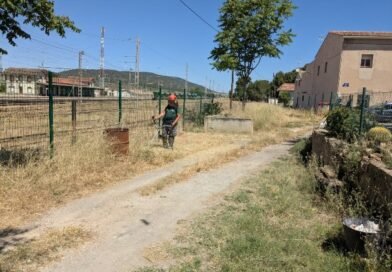 El grupo del Proyecto Acción Inserta de Agricultura Ecológica y Jardinería limpia y mejora varias zonas verdes de la ciudad