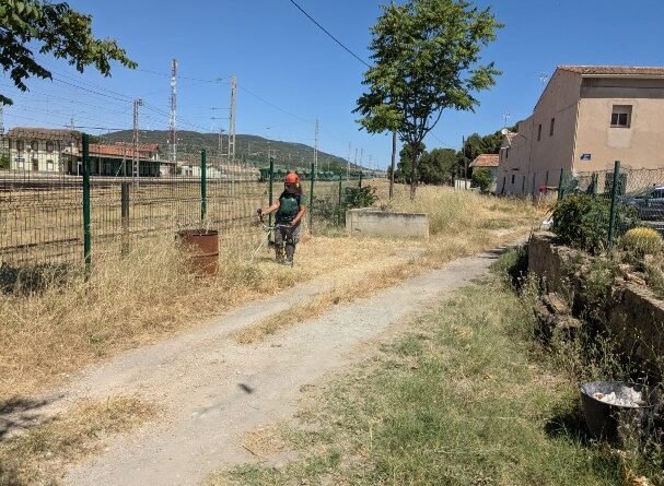 El grupo del Proyecto Acción Inserta de Agricultura Ecológica y Jardinería limpia y mejora varias zonas verdes de la ciudad